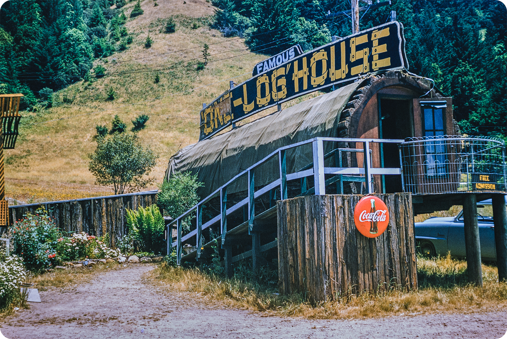 Famous “One Log” House